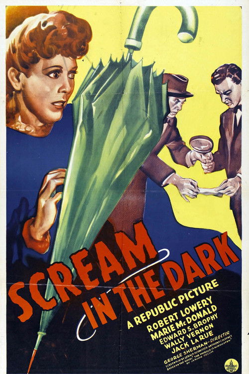 A Scream in the Dark постер