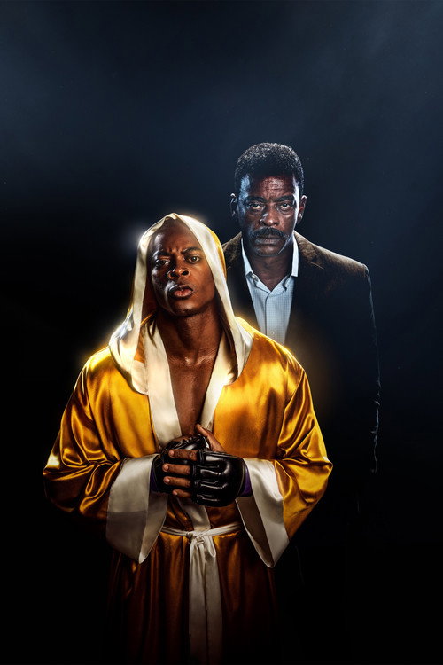 Anderson Spider Silva постер