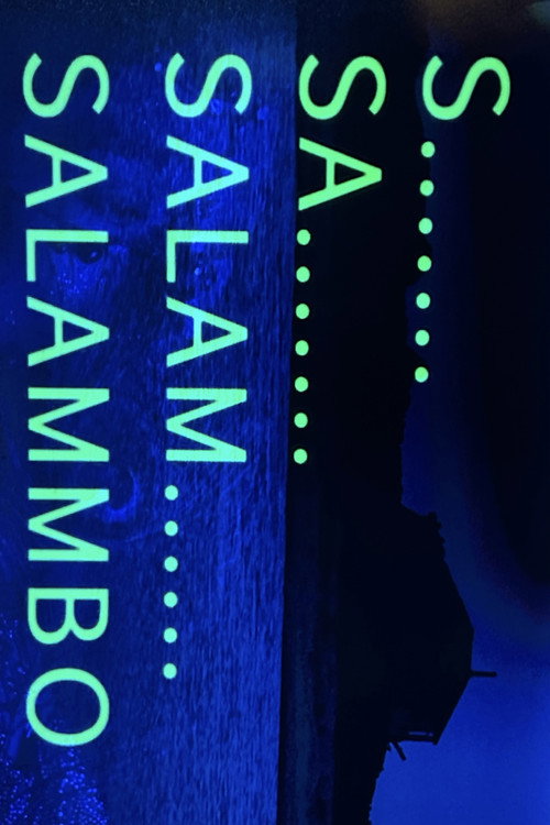 S... Sa... Salam... Salammbô… постер