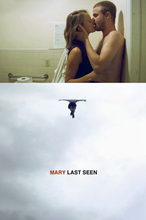 Mary Last Seen постер