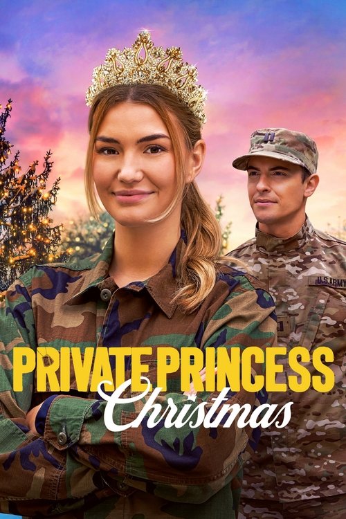 Private Princess Christmas постер