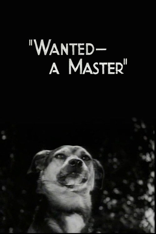 Wanted - A Master постер