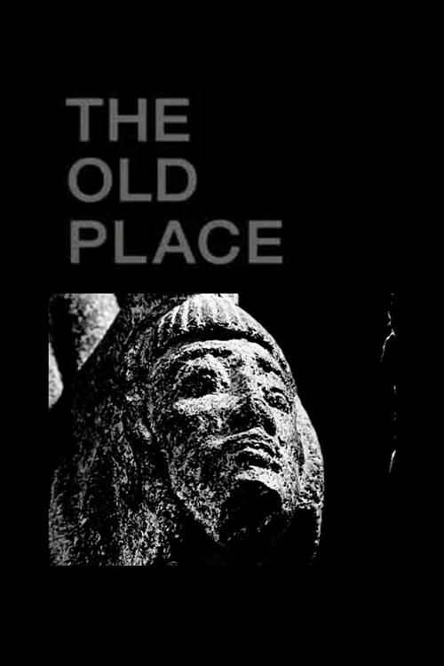 The Old Place постер