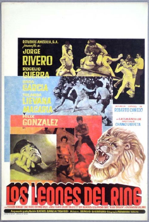 Los leones del ring постер