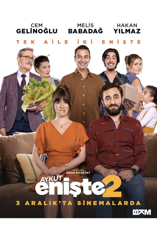 Aykut Enişte 2 постер