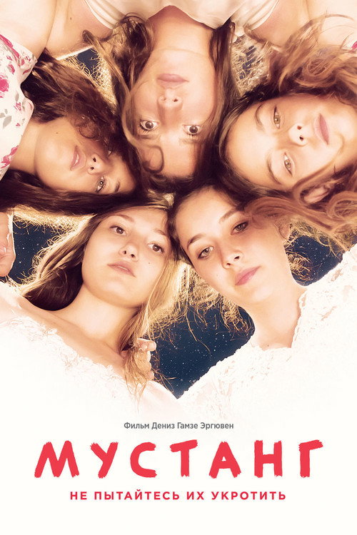 Мустанг постер