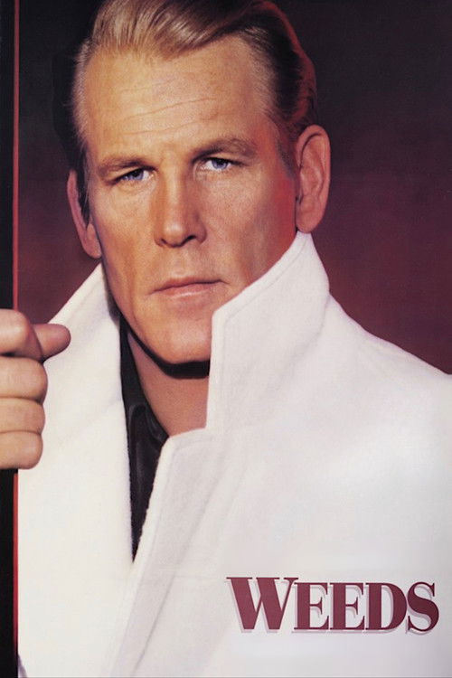Weeds постер