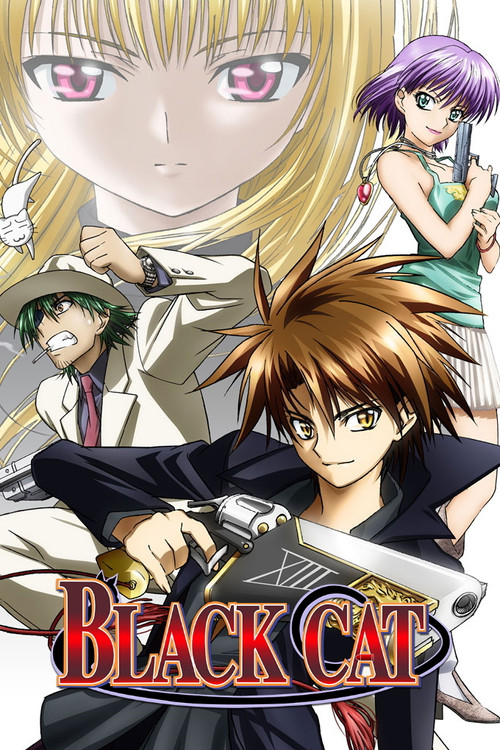 Black Cat постер