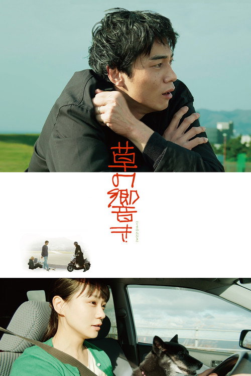 草の響き постер