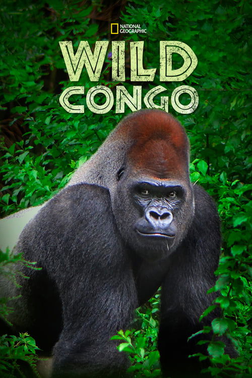 Wild Congo постер