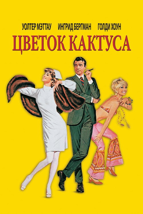 Цветок кактуса постер