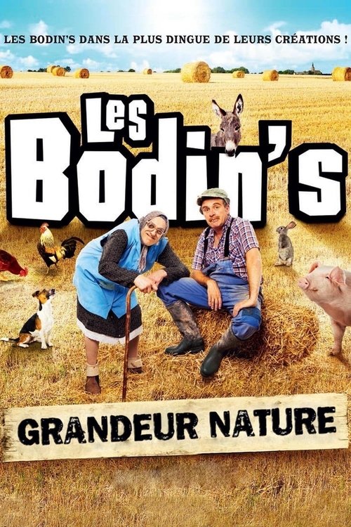 Les Bodin's : Grandeur Nature (@Zenith de Limoges) постер