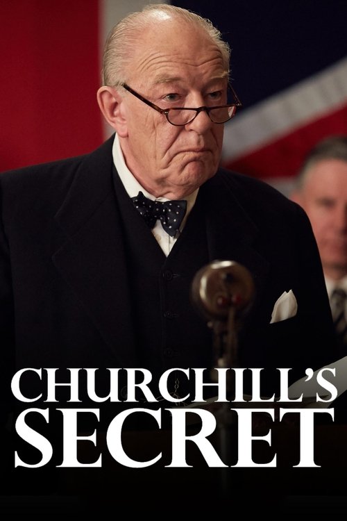 Churchill's Secret постер