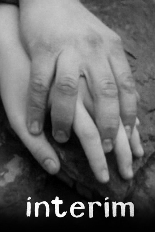 Interim постер