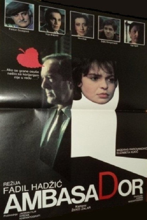 The Ambassador постер