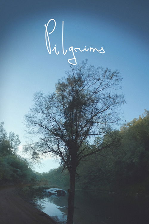 Pilgrims постер