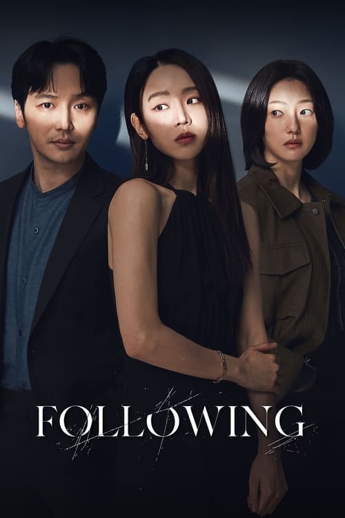 Following постер