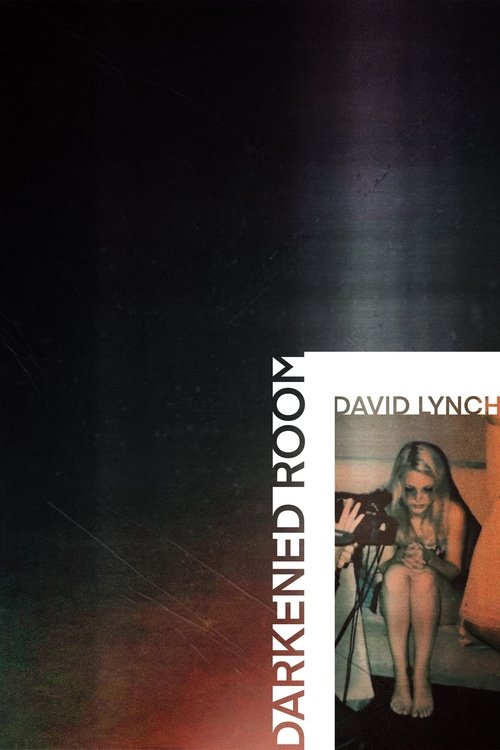 Darkened Room постер