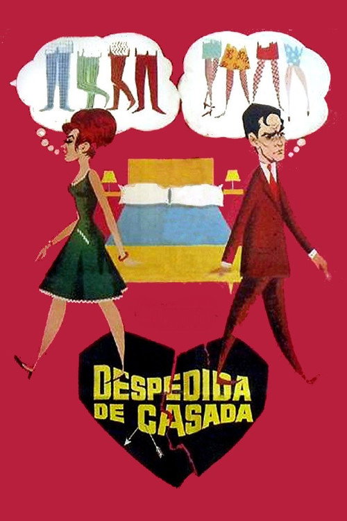 Despedida de casada постер
