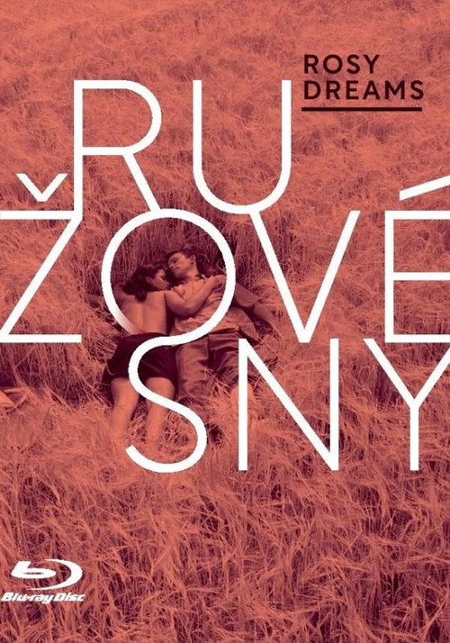 Ružové sny постер