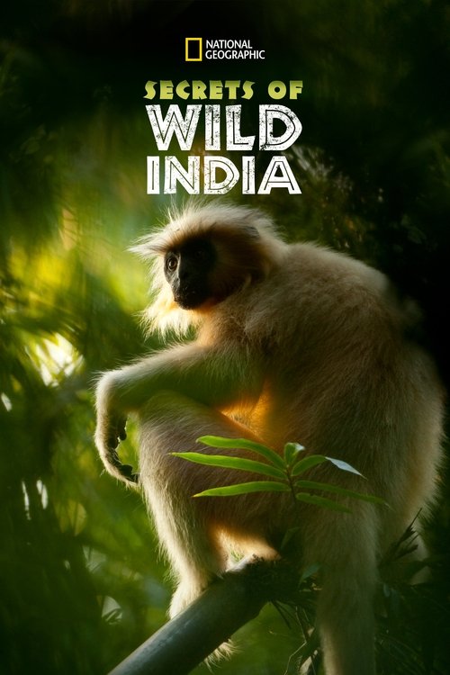 Secrets of Wild India постер