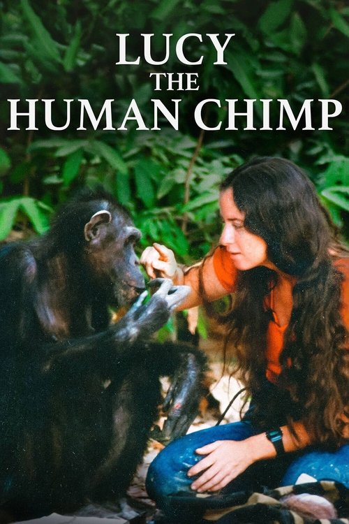 Lucy the Human Chimp постер