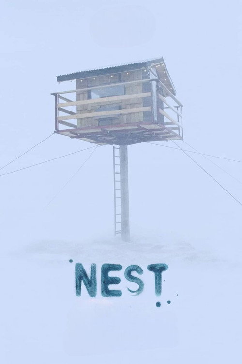 Nest постер