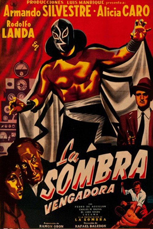 La sombra vengadora постер