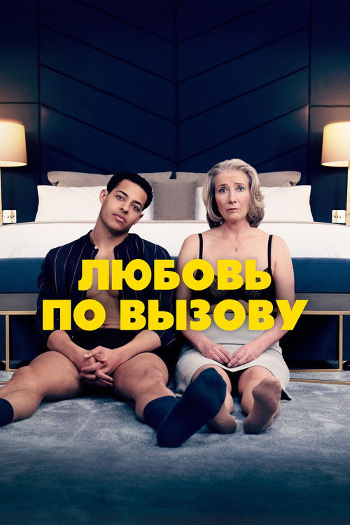 Любовь по вызову постер