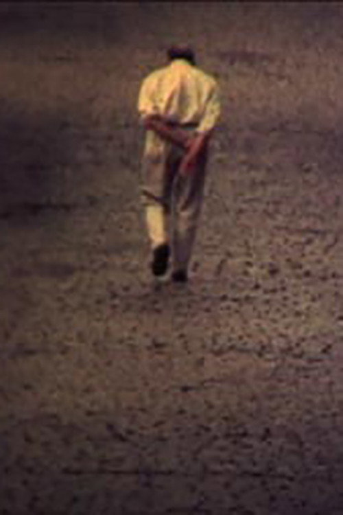 Acidente постер