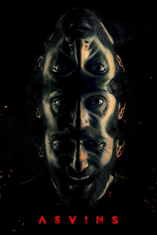 అశ్విన్స్ постер