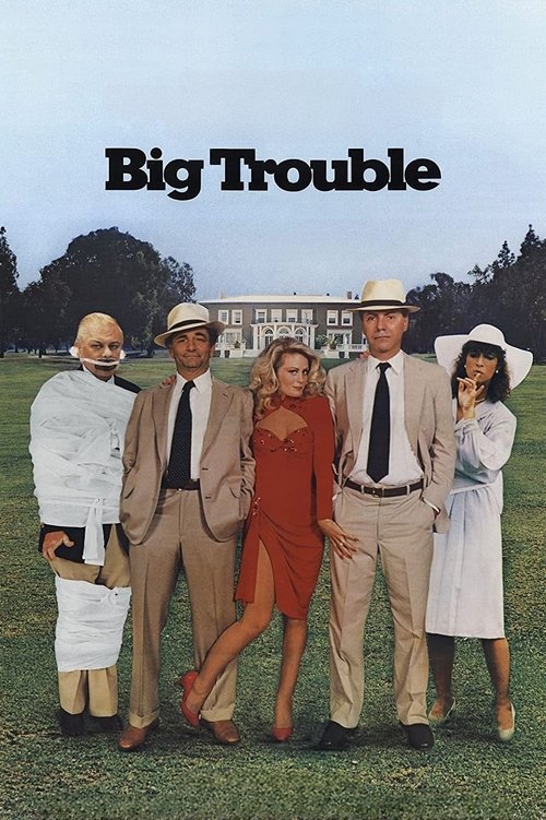 Big Trouble постер