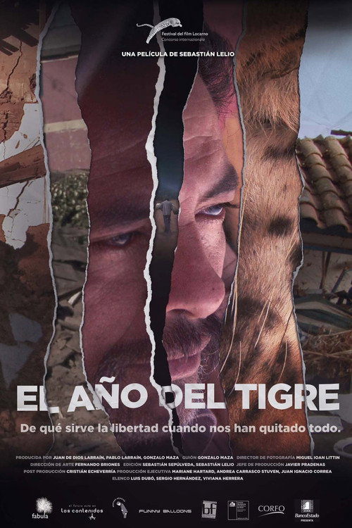 El año del tigre постер