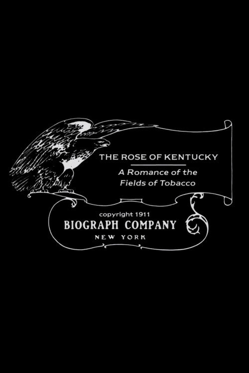The Rose of Kentucky постер