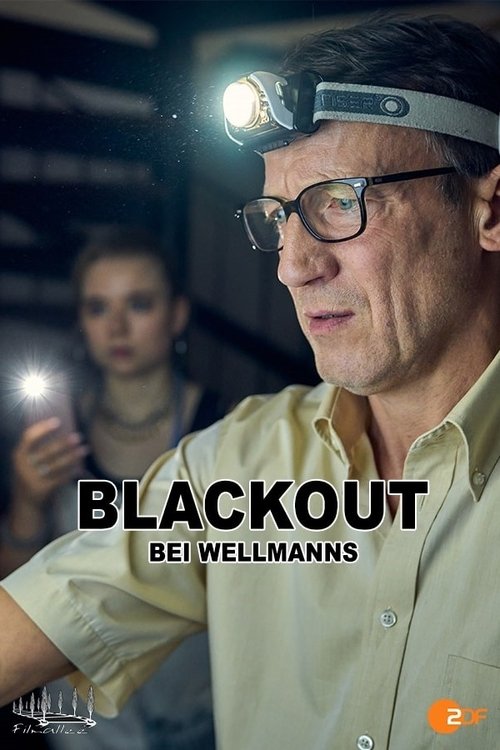 Blackout bei Wellmanns постер
