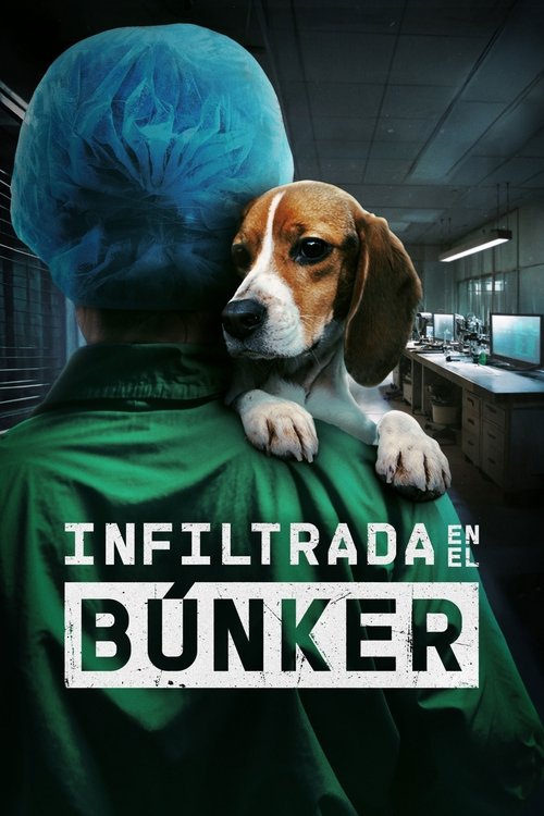 Infiltrada en el búnker постер