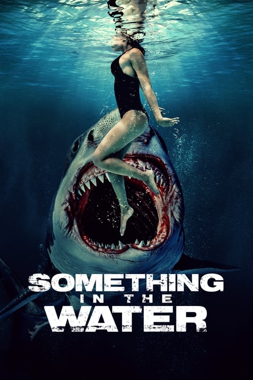 Something in the Water постер
