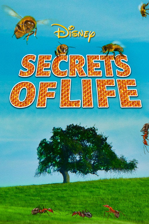 Secrets of Life постер