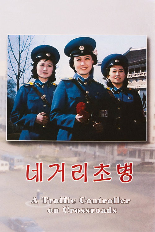 A Traffic Controller on Crossroads постер