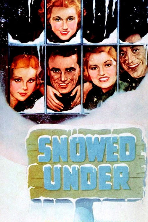 Snowed Under постер