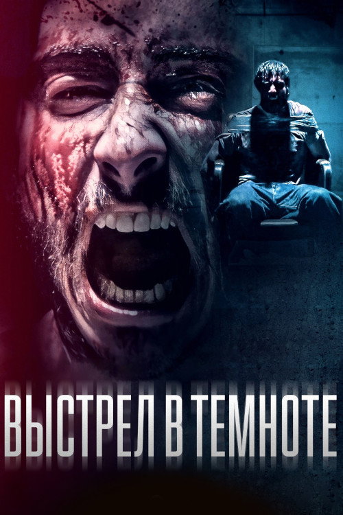 Shot in the Dark постер