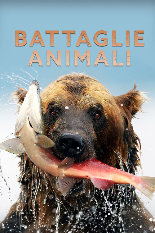 Battaglie animali постер
