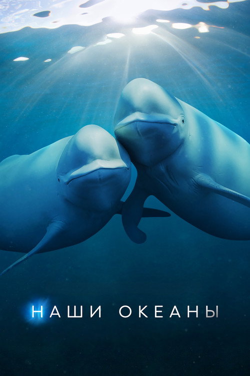 Наши океаны постер