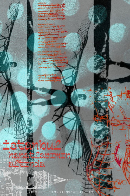 Стамбул под крыльями постер