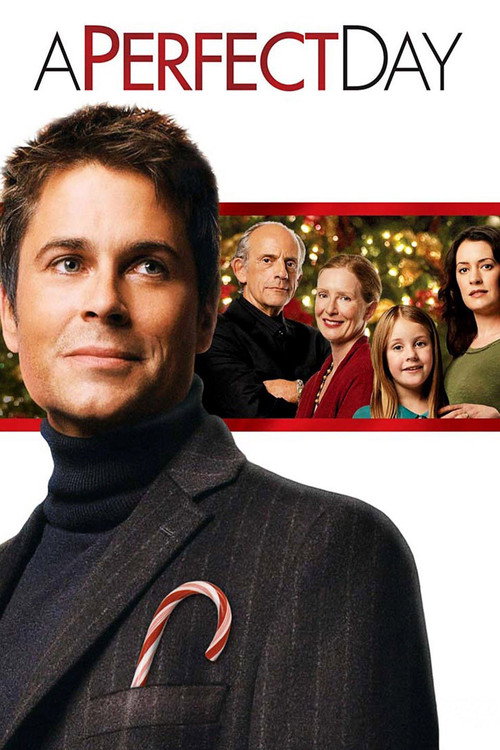 A Perfect Day постер