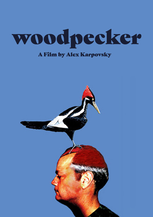 Woodpecker постер