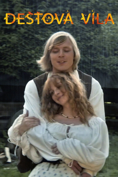Dešťová víla постер