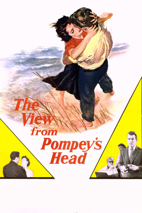 The View from Pompey's Head постер