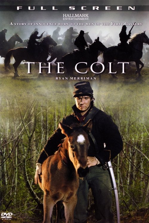 The Colt постер