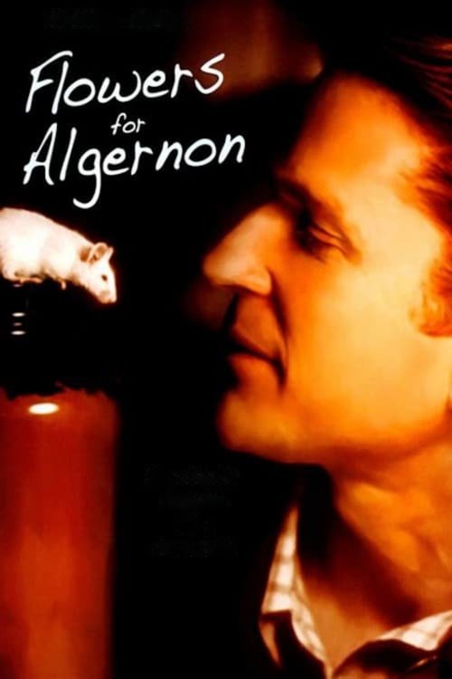 Flowers for Algernon постер